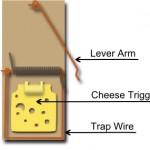 Annotated mouse trap parts