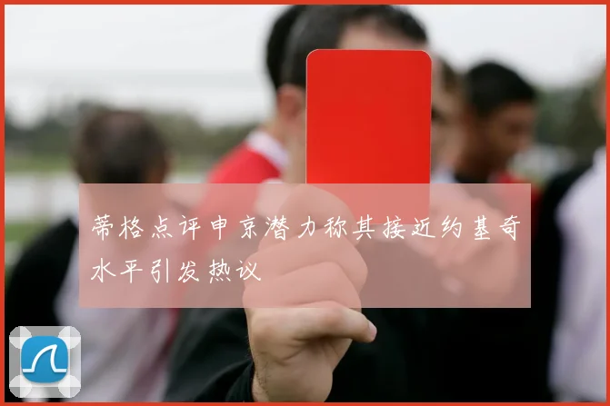蒂格点评申京潜力称其接近约基奇水平引发热议