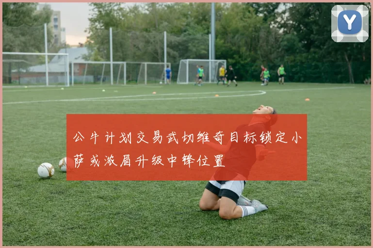 公牛计划交易武切维奇目标锁定小萨或浓眉升级中锋位置